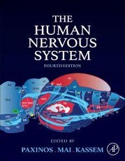 The Human Nervous System