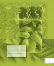 Sąsiuvinis A5 48l. langeliais