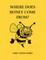 Where Does Honey Come From?