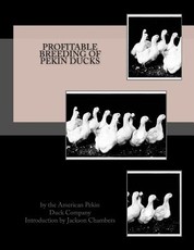 Profitable Breeding of Pekin Ducks