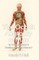 The Occult Anatomy of Man