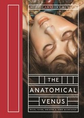 The Anatomical Venus
