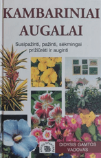 Kambariniai augalai: susipažinti, pažinti, sėkmingai prižiūrėti ir auginti