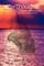 AfterThoughts