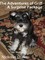 Adventures of Griff: A Surprise Package