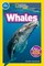 Szymanski, J: Whales (National Geographic Kids Readers, Pre- (el. knyga)