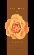 Anatomy of a Rose