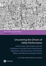 Uncovering the Drivers of Utility Performance
