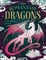 The Romantasy Dragons Coloring Book