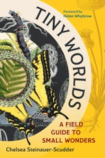 Tiny Worlds