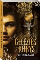 Geležies karys. Geležies fėjūnai. 7 knyga