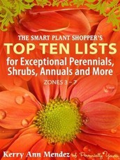 Smart Shopper's Top Ten Lists