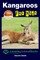 Kangaroos For Kids
