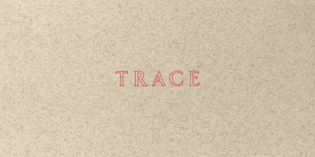 Jenny Holzer: Trace