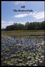 Off the Beaten Path