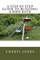 A Step By Step Guide to Building a Bird Bath