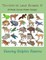 Terrestrial Land Animals 10
