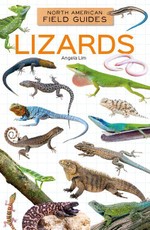 Lizards