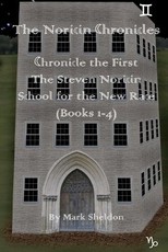 The Steven Noricin School for the New Race