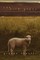 The Wild Grass