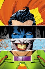Batman/Superman: World's Finest Vol. 9: The Merger