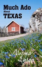 Much Ado About Texas