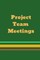 Project Team Meetings