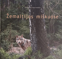 Žemaitijos miškuose