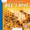 Let's Look Inside a Bee's Hive