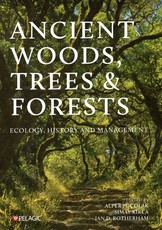 Ancient Woods, Trees and Forests