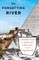 The Forgetting River