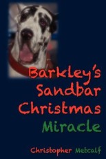 Barkley's Sandbar Christmas Miracle