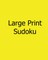 Large Print Sudoku