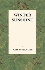 Winter Sunshine