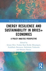 Energy Resilience and Sustainability in BRICS+ Economies