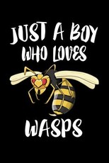 Just A Boy Who Loves Wasps