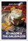 Insight Guides Ecuador and the Galapagos: Travel Guide with eBook