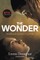 The Wonder