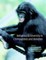 Behavioural Diversity in Chimpanzees and Bonobos