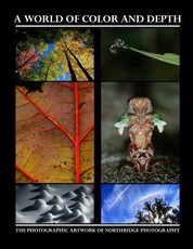A World of Color and Depth