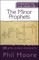 Straight to the Heart of The Minor Prophets