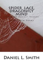 Spider Lace, Dragonfly Mind