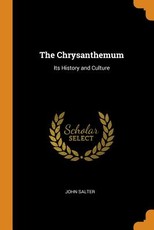 The Chrysanthemum