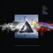 Vinilinė plokštelė LP „The Many Faces of Pink Floyd“ (White Vinyl) (2LP)