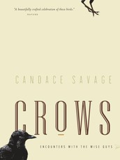 Crows