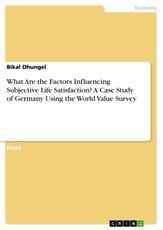 What Are the Factors Influencing Subjective Life Satisfaction? A Case Study of Germany Using the World Value Survey
