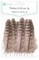 Plunksnos anties 15-20cm 5g