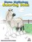 Norse Mythology Coloring Book