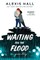 Hall, A: Waiting for the Flood
