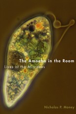 The Amoeba in the Room